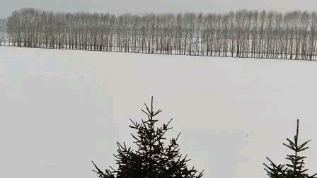 好大的雪